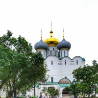 Новодевичий :: Irene Irene