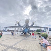 Бериев 12 (Бе12) Самолёт- амфибия из 60х. :: Alexey YakovLev