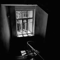 . :: anton laba 