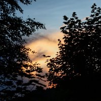 222 :: Артём Евтюхов