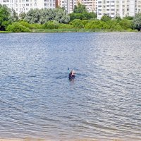 Сокровище ищет :: Валерий Иванович