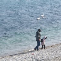 жизнь у моря :: Елена Шаламова жизнь у моря :: Елена Шаламова