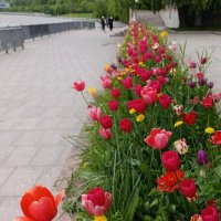 Мск :: Евгений 