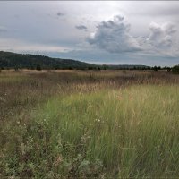 Осень :: **** vedin Осень :: **** vedin