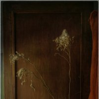 /*/ :: Oleg Rastorguev