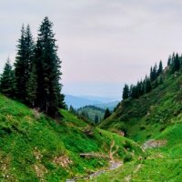 Июнь в горах :: Георгиевич 