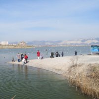 жизнь у моря :: Елена Шаламова