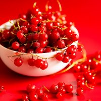 Замороженные ягоды красной смородины :: Александр Синдерёв