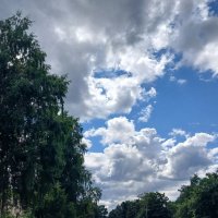 Небо июля :: Наталья Герасимова Небо июля :: Наталья Герасимова