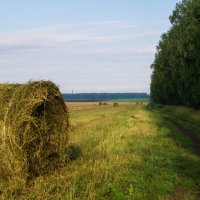 Первый покос... :: Оксана Галлямова