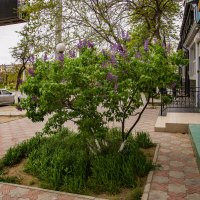 Фонари :: Анатолий Чикчирный Фонари :: Анатолий Чикчирный