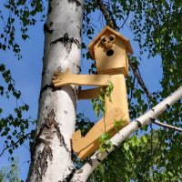 Скворечник Сеня :: Сергей Киршин