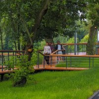 Прогулки в Летнем Парке :: юрий поляков Прогулки в Летнем Парке :: юрий поляков