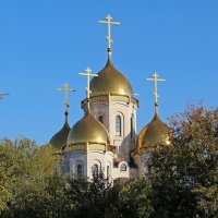Посвящается памяти Анатолия Колосова :: Олегъ Петрович