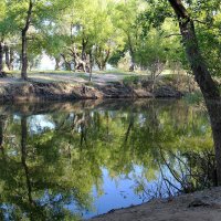Лето :: Олегъ Петрович
