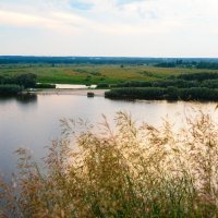 Вечер у реки. :: Михаил Колосов Вечер у реки. :: Михаил Колосов