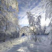 На опушке :: Александр Ковальчук