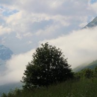 Упало облако на землю. :: Екатерина Леш