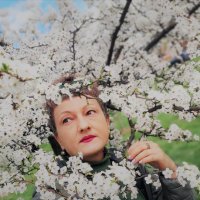 Портрет :: Лана 