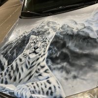Авто,горы, снежный барс :: Savayr 