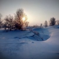 Зимнее Солнце :: Андрей Хлопонин