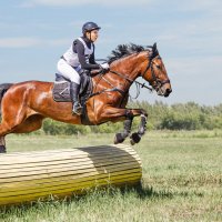 Кросс :: SanSan 