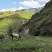 Однажды в горах :: Магомед .
