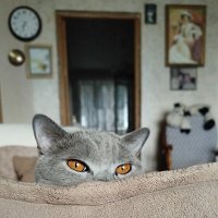 В засаде. :: Лютый Дровосек В засаде. :: Лютый Дровосек