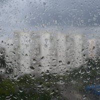 Дождливый июль... :: Митяй Митрич