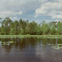Озеро Тенис :: Евгений Золотаев Озеро Тенис :: Евгений Золотаев