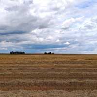 Уборочная пора :: Татьяна Тюменка Уборочная пора :: Татьяна Тюменка