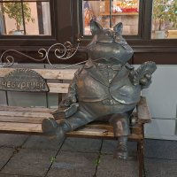 Кот Чебурек. :: ИРЭН@ .