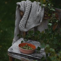 С крыжовником... :: Liliya С крыжовником... :: Liliya