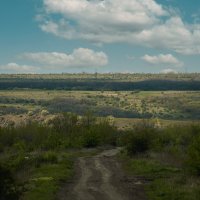 *** :: Яна Горбунова