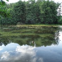 В парке :: svk * В парке :: svk *
