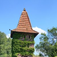 В парке Лога :: Мариша Тим В парке Лога :: Мариша Тим