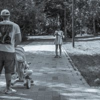 Прогулки в Летнем Парке :: юрий поляков