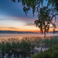 Туманное утро августа... :: Алексей Мезенцев