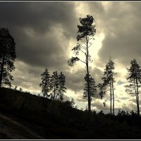 Природа :: Aleksandr Gal