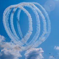Вива авиа Новосибирск 2026