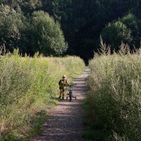 Он устал. Он маленький :: Андрей Лукьянов