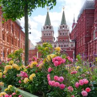 Лето в Москве
