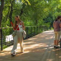 Прогулки в Летнем Парке