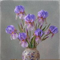 Ирисы :: Wincent 