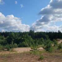Август :: Наталья Герасимова Август :: Наталья Герасимова