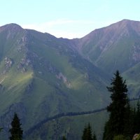 природа возле озера