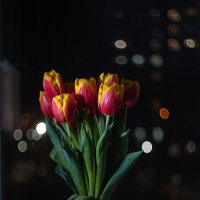 Тюльпаны у весеннего окна, дождём омытого вчерашней ночью.