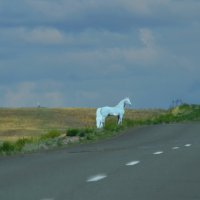 дорога на Алматы