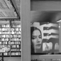 В книжном магазине. :: Любимова Ольга В книжном магазине. :: Любимова Ольга