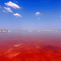 Озеро Сарык-Сиваш